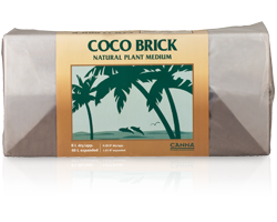 coco-brick-content-1.png